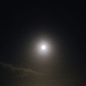 Meet your Posher, Daralee